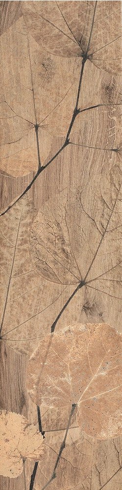 Купить Del Conca Fi Foreste D'italia Foliage Noce 20х80 