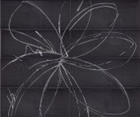 Купить Viva Dolceamaro Progetto Fiore Black Poison 25х60 