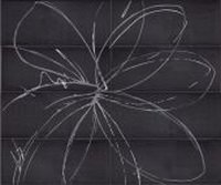 Купить Viva Dolceamaro Progetto Fiore Black Poison 25х60 