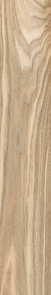 Купить AGL Tiles Chinaberry Wood RT 20x120 