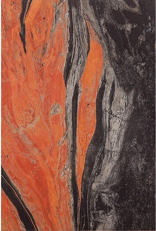 Купить Gani Marble Butterfly Red 60x90 