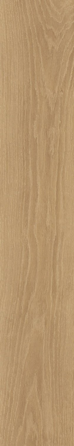 Купить Atlas Concorde Eligo Basswood Ret 20х120 