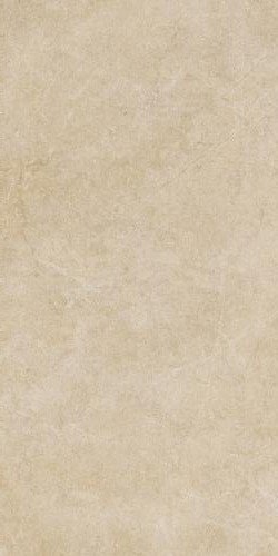 Купить Ragno Realstone Argent Miele RT 60x120 