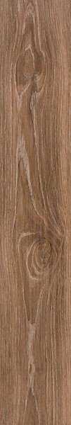 Купить Pamesa AT.Aren Terra Mate Rect 20x120 