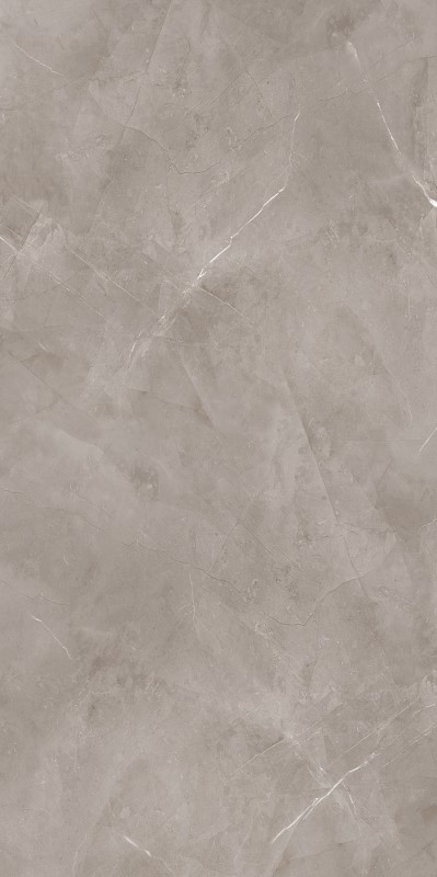 Купить Tubadzin Harmonic Grey POL 239,8x119,8 