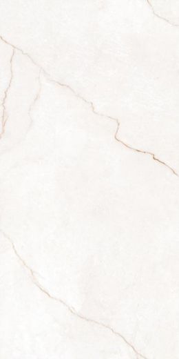 Купить Pars Tile Delvin Mat 60x120 