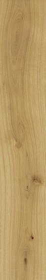 Купить Atlas Concorde Exence Almond 20х120 