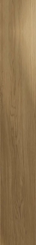 Купить Monocibec Ashley Nature 20x120 