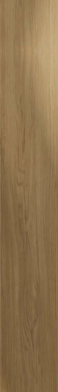 Купить Monocibec Ashley Nature 20x120 