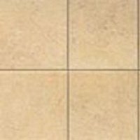 Купить Gardenia Orchidea Absolute Stone ORO NAT 60х60 