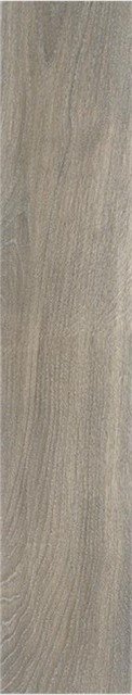 Купить Stylnul (STN) Articwood Argent Rect 22,7x119,5 