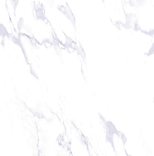 Купить RAK Indus Statuario Lappato 60x60 