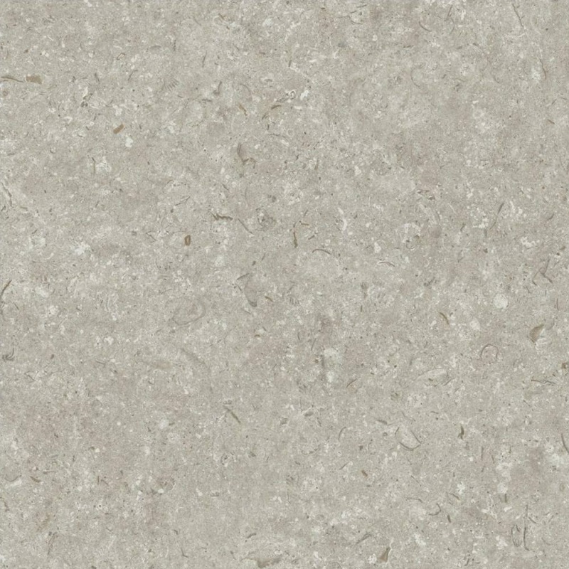 Купить Grespania Fosil Gris 60x60 
