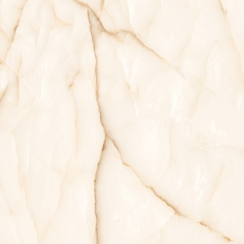 Купить Decovita Onyx Leaf Full Lap 60x60 