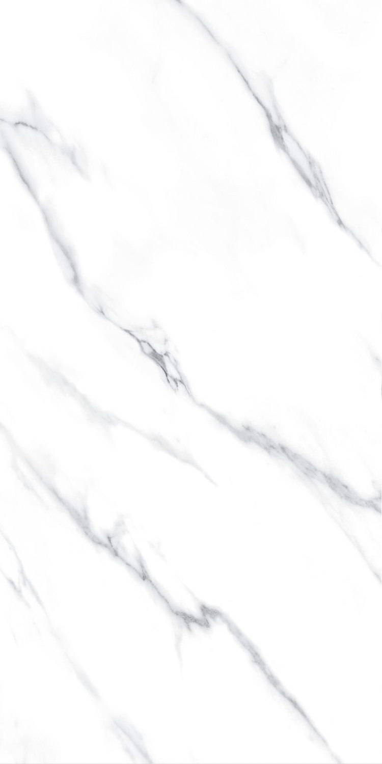 Купить Fanal Carrara NPlus 60х120 