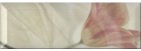 Купить Monopole Gourmet/Romantic Decor Romantic Esperanza 10x30 