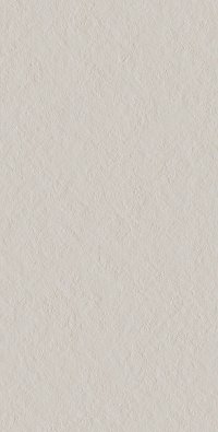 Купить 41zero42 Superclassica SCB Flamed 60x120 