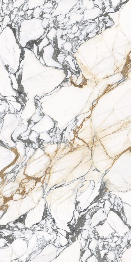Купить Emil Ceramica Level Marmi Calacatta Paonazzo Lapp 160x320 