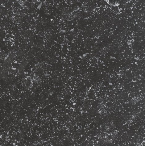 Купить Equipe Coralstone Black 20х20 