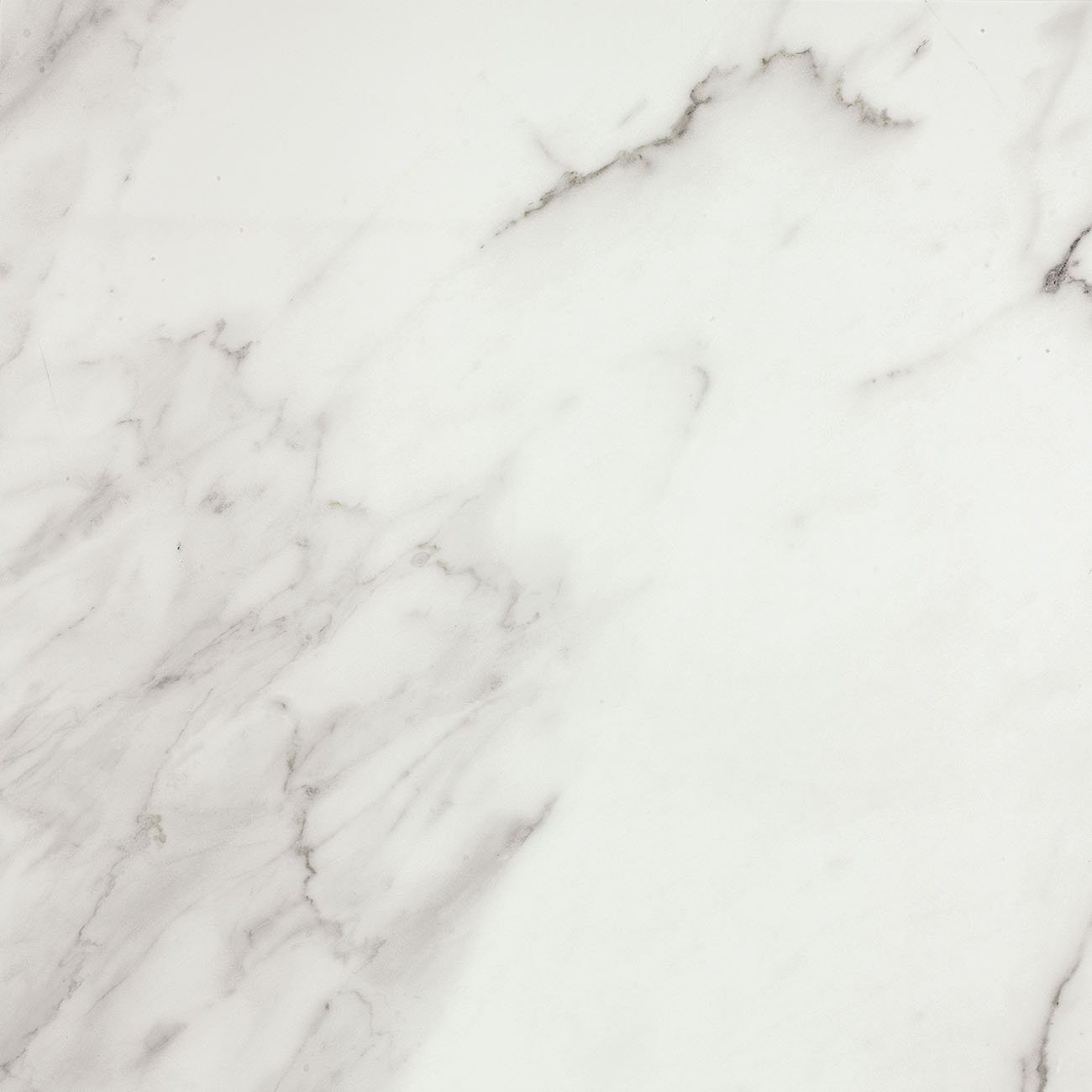 Купить Apavisa Marble Calacatta Natural 89,46x89,46 