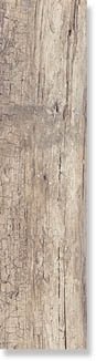 Купить Dado Century Beige 20х120 