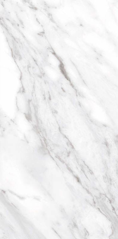 Купить Ceracasa North White Gloss 49,1х98,2 