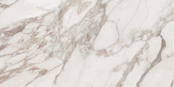 Купить Rex Ceramiche I Bianchi di Rex Calacatta Nat 60x30 