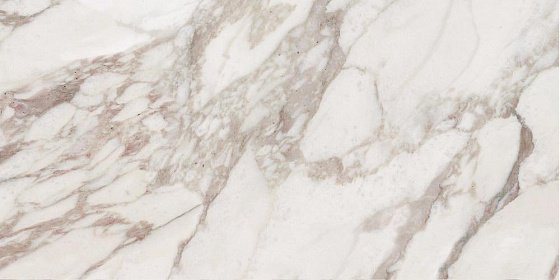 Купить Rex Ceramiche I Bianchi di Rex Calacatta Nat 60x30 