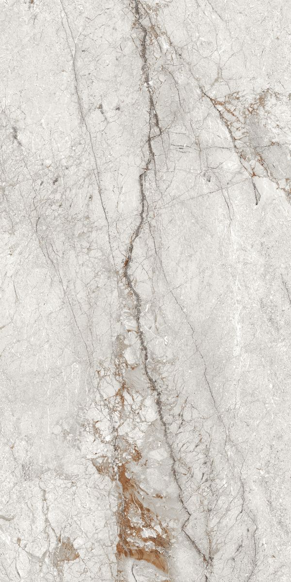Купить Maimoon Ceppo Di Grey Hi.Glossy  80×160 