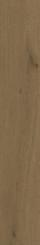 Купить Atlas Concorde Entice Browned Oak Grip 20х120 