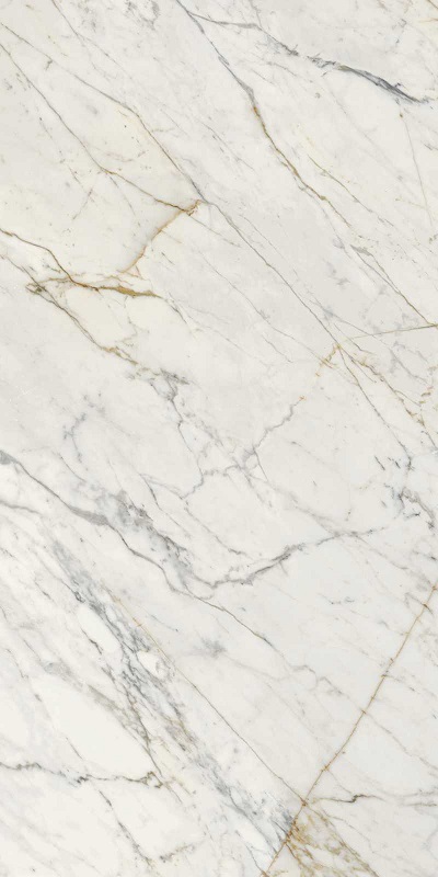 Купить Calacatta Oro Glossy Rett 120x240 