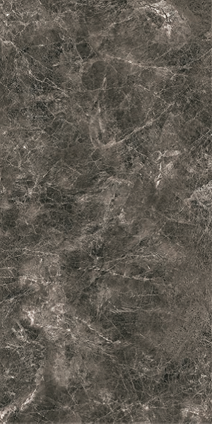 Купить Leopard Umbra Grafite Glossy 60x120 