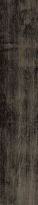 Купить Vignoni Del Conca Nero 7.5x40 