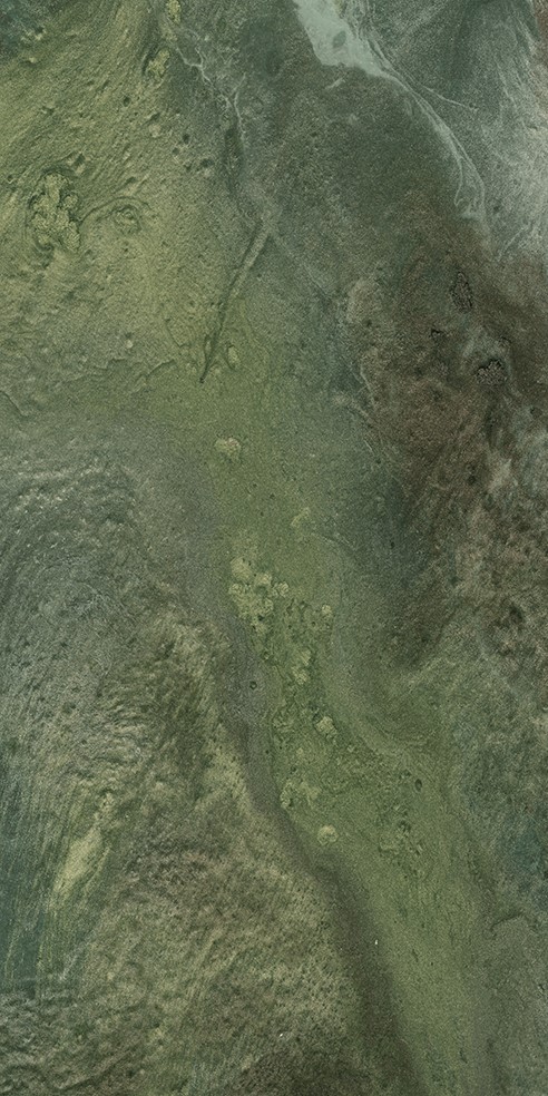 Купить Apavisa Aquarela Green Nat 49,75х99,55 