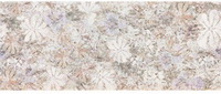 Купить Del Conca Evoque Bosco 20х50 