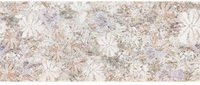 Купить Del Conca Evoque Bosco 20х50 