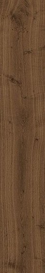 Купить Atlas Concorde Heartwood Brandy 20х120 
