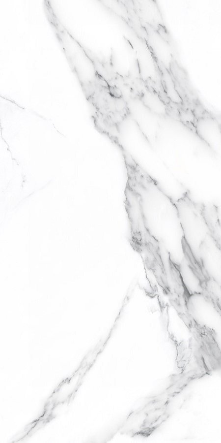 Купить Neodom Supreme Calacatta Classico Polished 60x120 