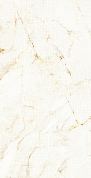 Купить Roberto Cavalli Lush Calacatta Oro Animalier Lux 59,4x119 