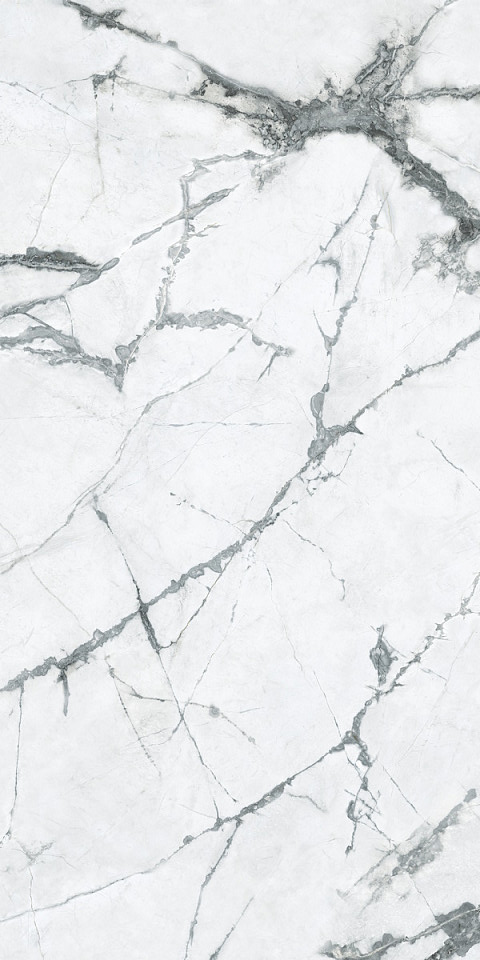 Купить Caesar Anima Ever Magnificent White Nat 60x120 