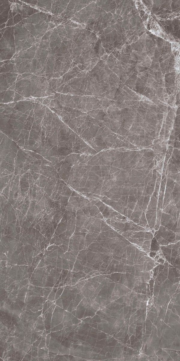 Купить Gani Marble Claros Grey Dark 60x120 