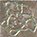 Купить Gardenia Orchidea Marble Toz.Medusa Grigio Sab 2,7х2,7 
