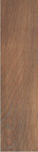 Купить Stylnul (STN) Arcticwood Amber 20,5x61,5 