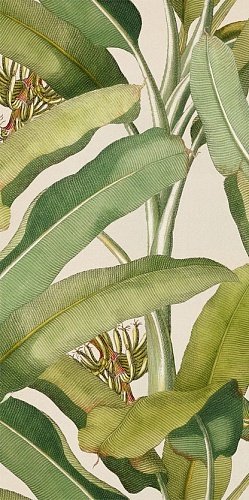Купить 41zero42 Paper Pro Musa 50x100 (2 паттерна) 