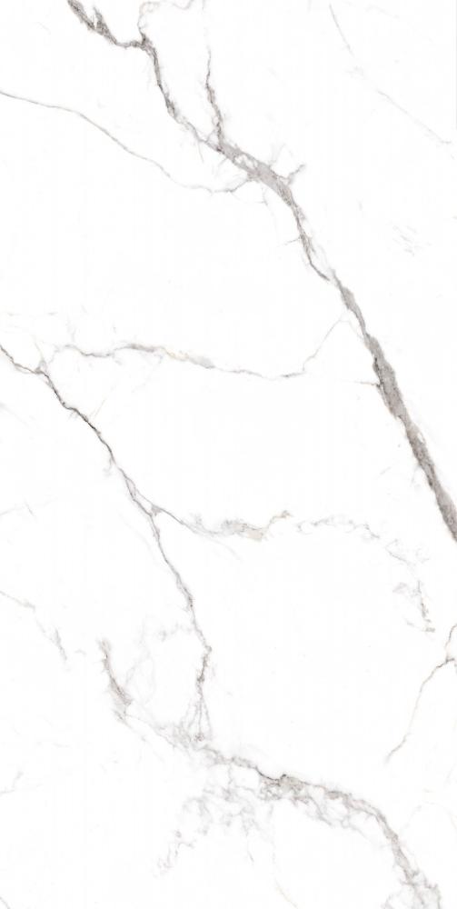Купить Etili Seramik Milet Grey Polished Rec  60×120 