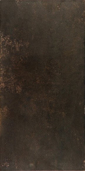 Купить Evolution Bronce 49,1х98,2 Rect. 