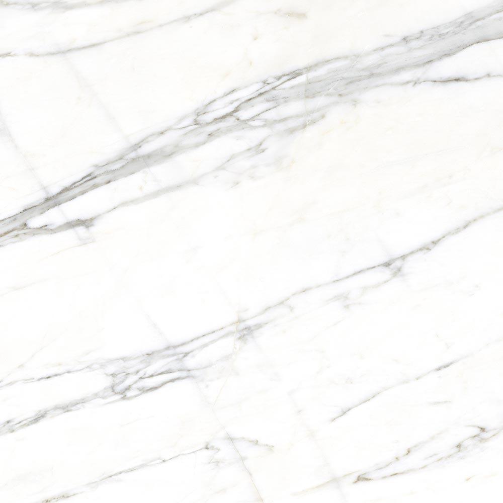 Купить Vives Marblelous Verbier-R Pulido 119,3x119,3 