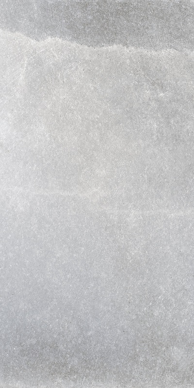 Купить RHS Himalaya Grey 60x120 