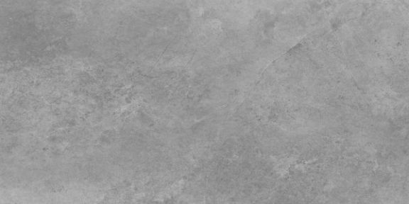 Купить Cerrad Gres Tacoma Silver Rect. 119,7x59,7 