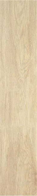 Купить STN Tacora Beige Mt Rect 22,7x119,5 